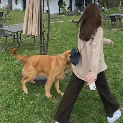 天地姻缘七仙女